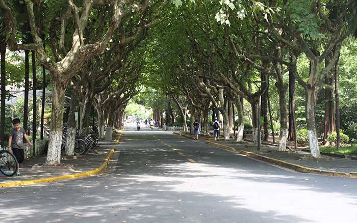 1507797230919671.jpg 6363962306443412505531308.jpg