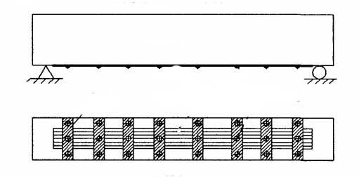 1590745447762862.jpg 1.jpg