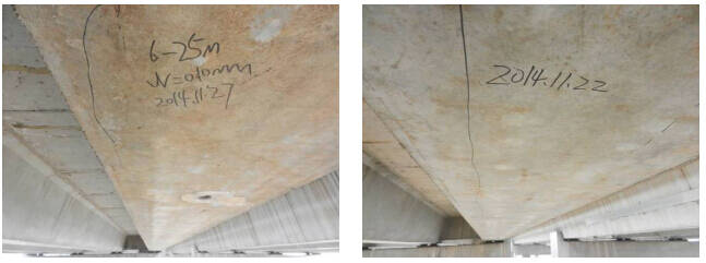 1697616057958113.jpg 6364679095845936182074111.jpg