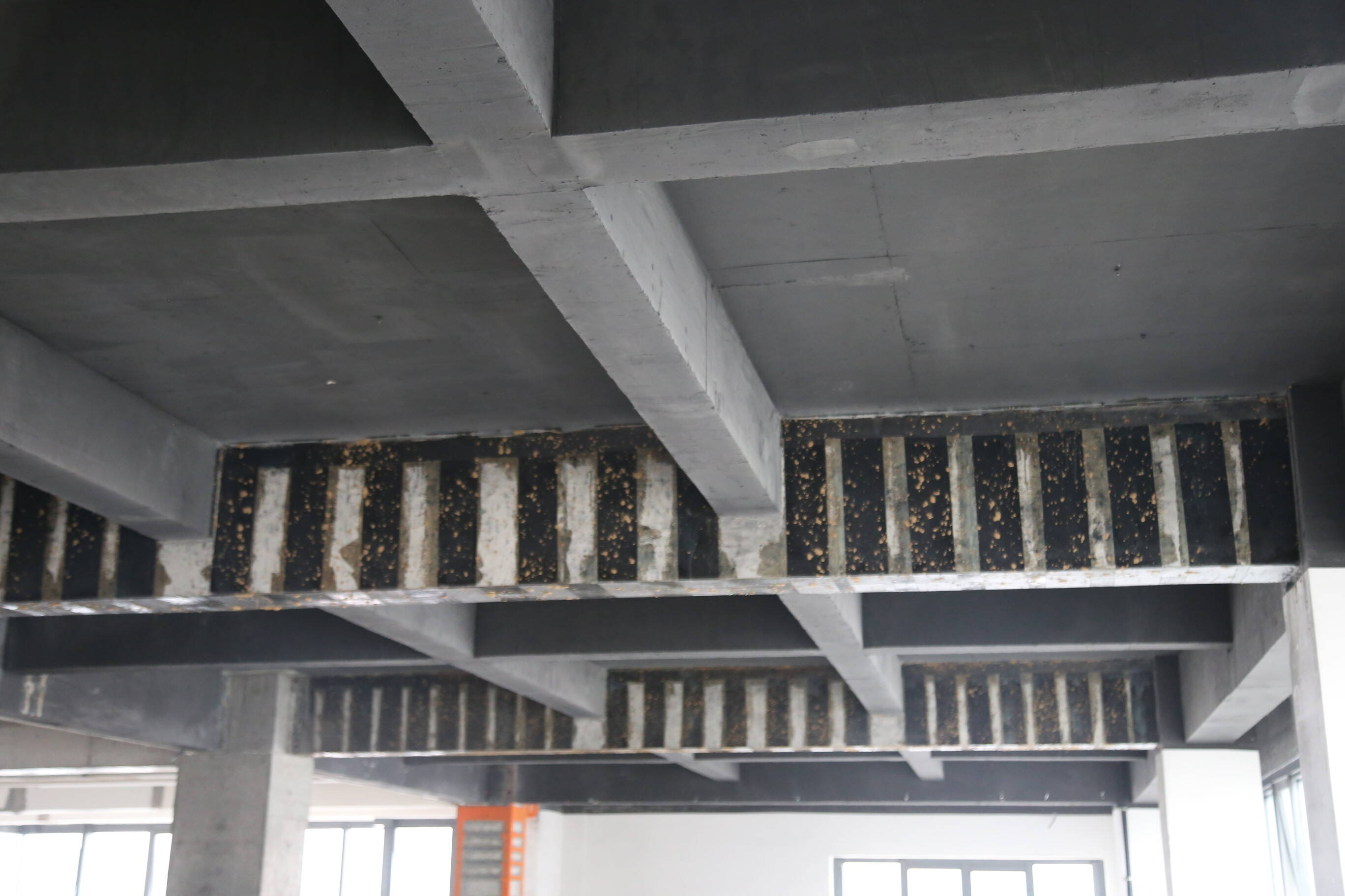 1750661472923863.jpg 1750661472923863.jpg